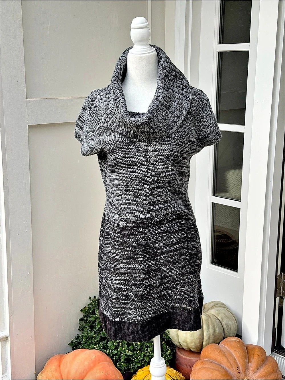 REI Cowl Neck Knit Mini Dress